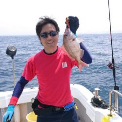 ブルーピア 釣果