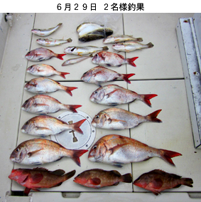 来温丸（らいおんまる） 釣果