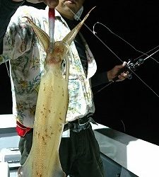 海龍丸(福岡) 釣果