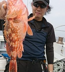 海龍丸(福岡) 釣果