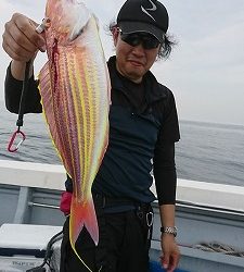 海龍丸(福岡) 釣果