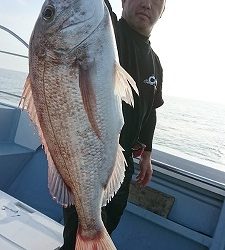 海龍丸(福岡) 釣果