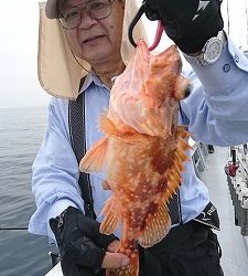海龍丸(福岡) 釣果