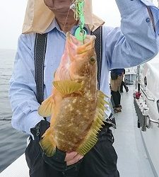 海龍丸(福岡) 釣果