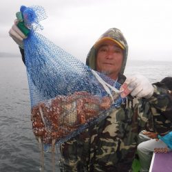 川崎丸 釣果