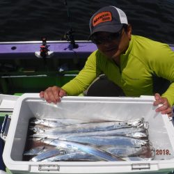 川崎丸 釣果