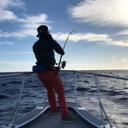 へいみつ丸 釣果