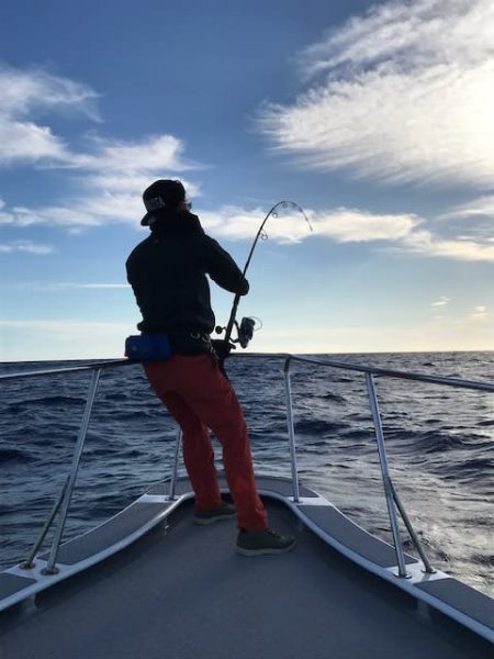 へいみつ丸 釣果