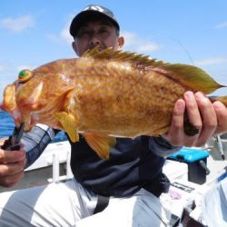 第二一之紀丸（ダイニイチノキマル） 釣果