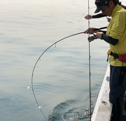 幸吉丸 釣果