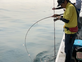 幸吉丸 釣果