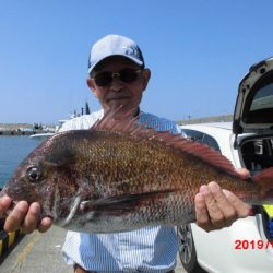 大進丸（新潟） 釣果