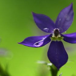 小菅トラウトガーデン 釣果