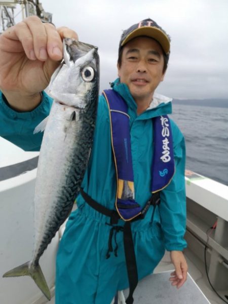 泰丸 釣果