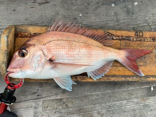 幸吉丸 釣果