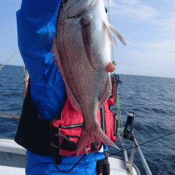 遊漁船ブルーウッズ 釣果