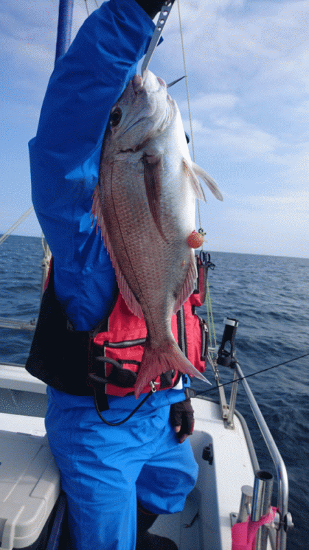 遊漁船ブルーウッズ 釣果