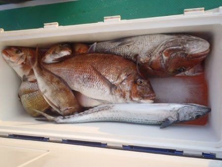 第二むつ漁丸 釣果