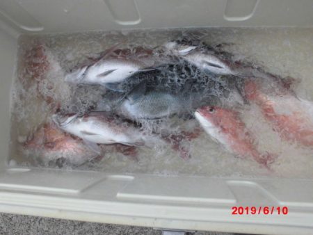 大進丸(新潟) 釣果