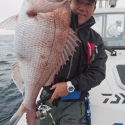 遊漁船ブルーウッズ 釣果