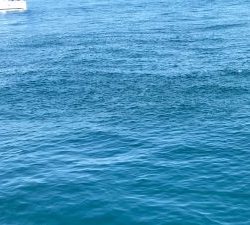 さぶろう丸 釣果