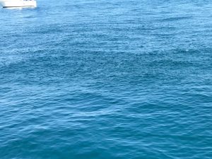 さぶろう丸 釣果