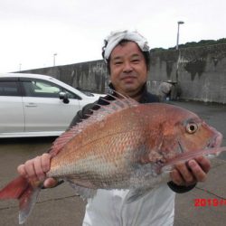 大進丸(新潟) 釣果