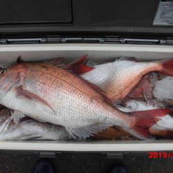 大進丸(新潟) 釣果