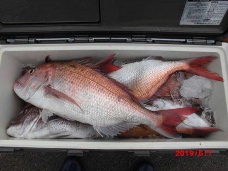 大進丸(新潟) 釣果