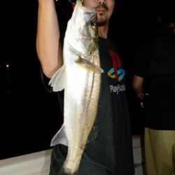 Marine T Design マリンティーデザイン 釣果