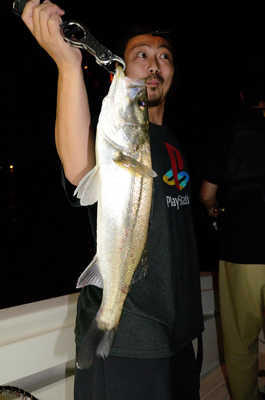 Marine T Design　マリンティ…