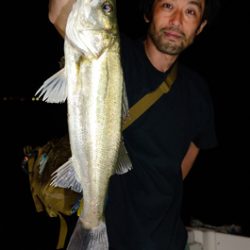 Marine T Design マリンティーデザイン 釣果