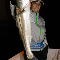 Marine T Design マリンティーデザイン 釣果