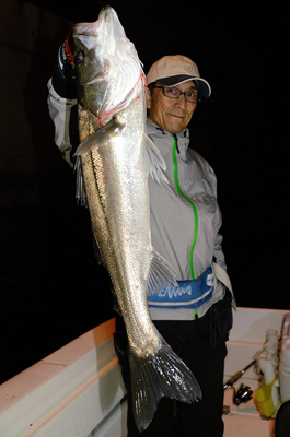 Marine T Design　マリンティ…