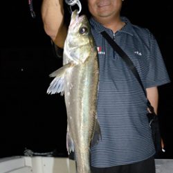 Marine T Design マリンティーデザイン 釣果