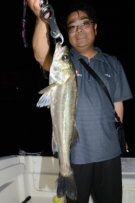 Marine T Design マリンティーデザイン 釣果