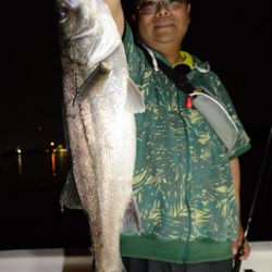 Marine T Design マリンティーデザイン 釣果