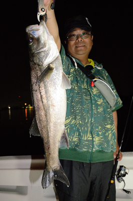 Marine T Design　マリンティ…