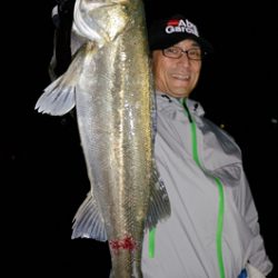 Marine T Design マリンティーデザイン 釣果