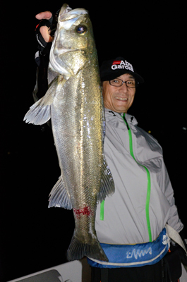 Marine T Design マリンティーデザイン 釣果