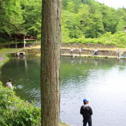 小菅トラウトガーデン 釣果