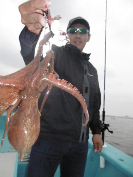かもめ釣船 釣果