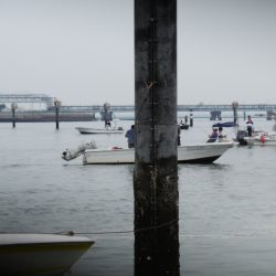 かもめ釣船 釣果
