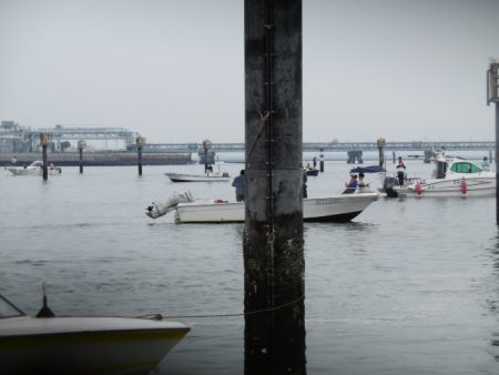 かもめ釣船 釣果