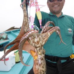 かもめ釣船 釣果