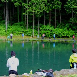 小菅トラウトガーデン 釣果