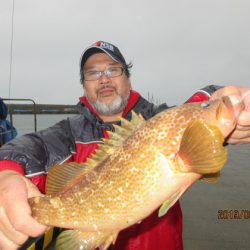 大進丸(新潟) 釣果