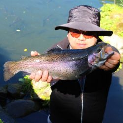 小菅トラウトガーデン 釣果