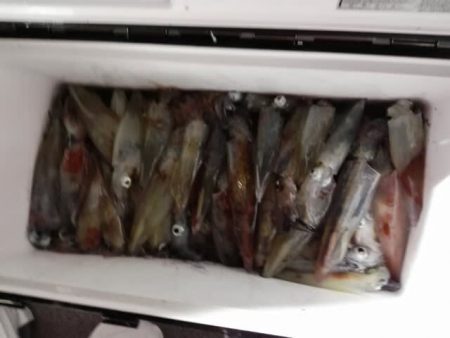 第二大福丸 釣果