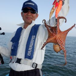 かもめ釣船 釣果